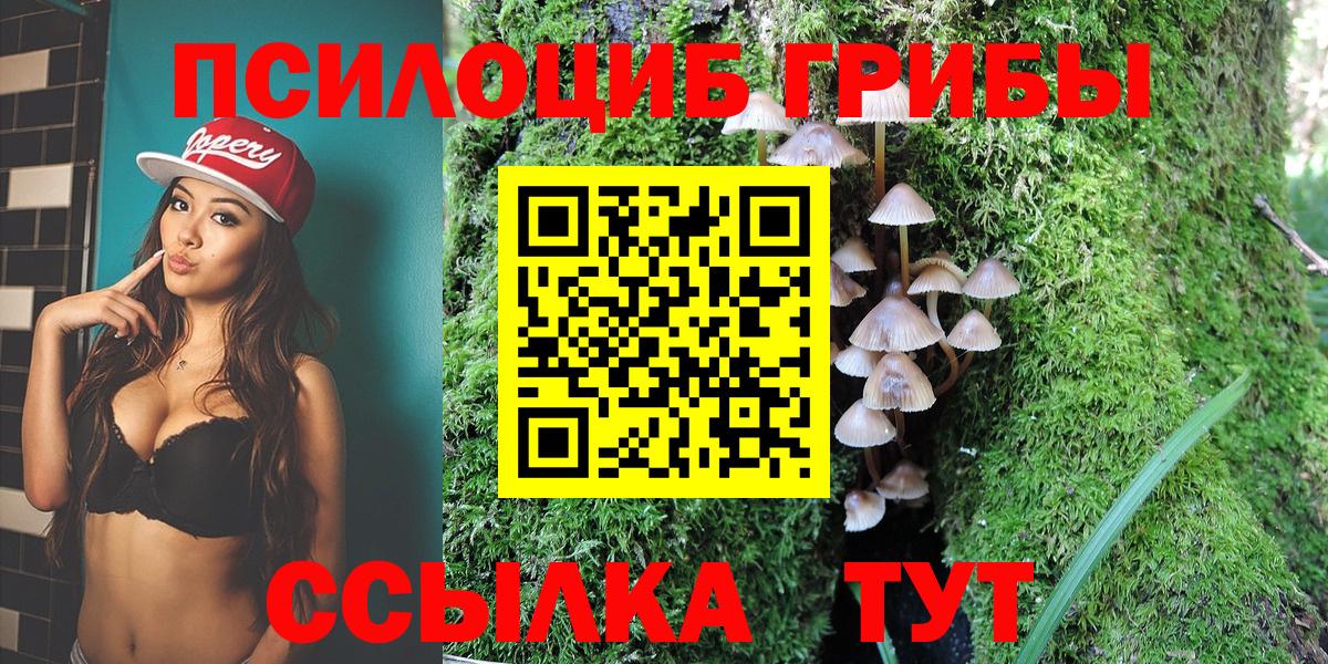 Псилоцибиновые грибы GOLDEN TEACHER  купить наркотик  Маркс  Вход с VPN 