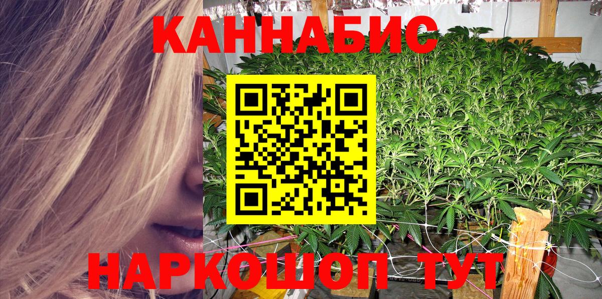Каннабис индика Маркс